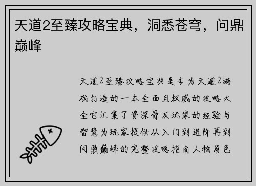 天道2至臻攻略宝典，洞悉苍穹，问鼎巅峰