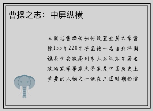 曹操之志：中屏纵横