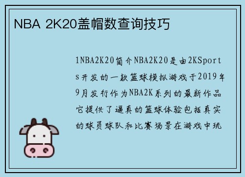 NBA 2K20盖帽数查询技巧